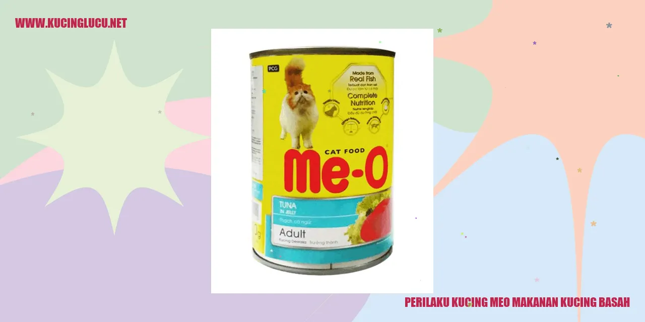 Kucing makanan basah