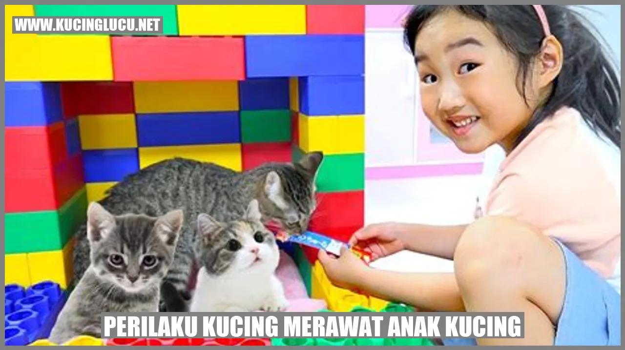 Perilaku Kucing Merawat Anak Kucing