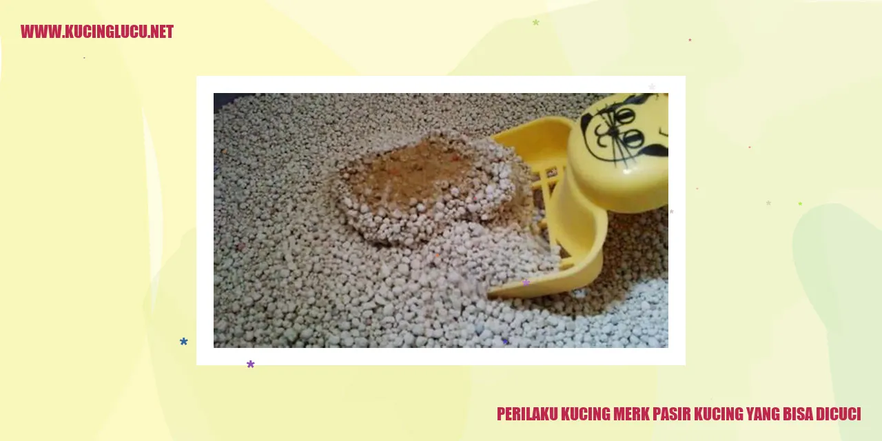 Perilaku Kucing