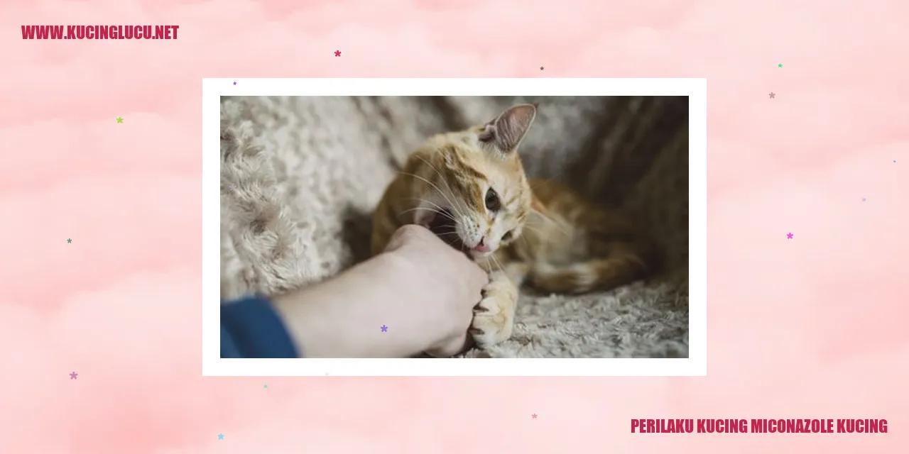 Perilaku Kucing Miconazole Kucing