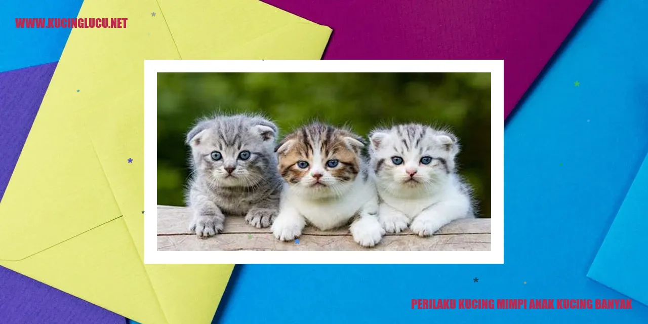 Perilaku Kucing mimpi anak kucing banyak