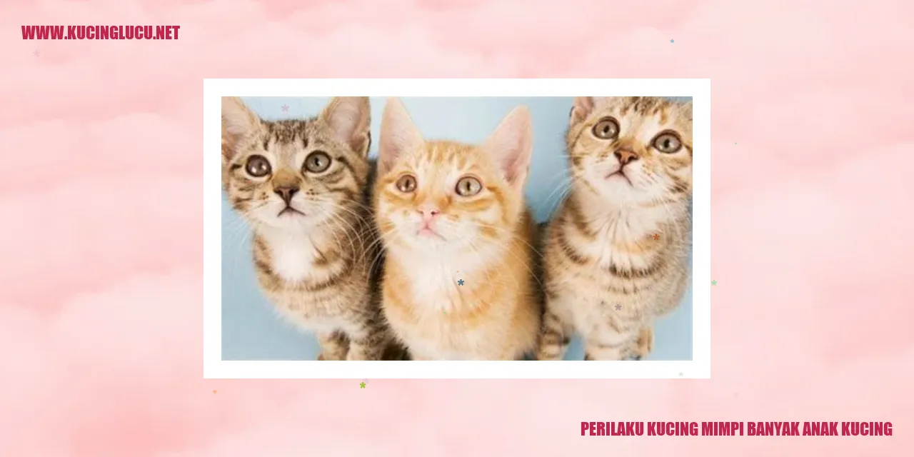 Gambar Kucing