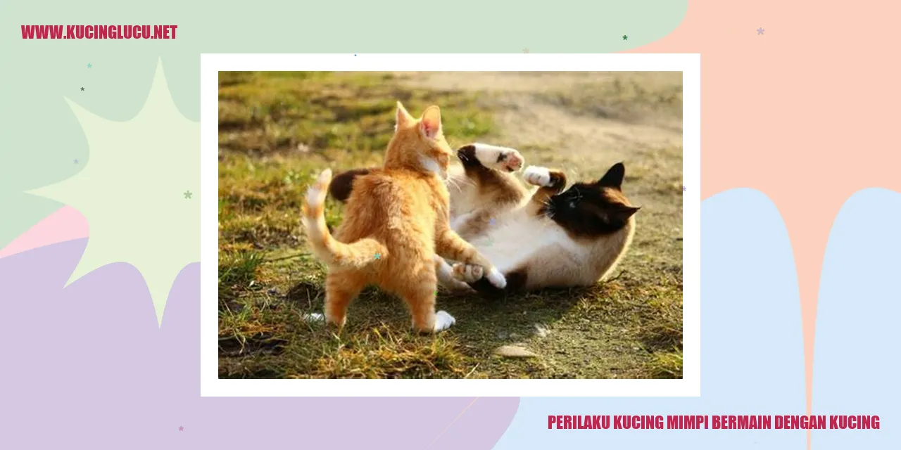 Perilaku Kucing Saat Bermimpi Bermain dengan Kucing Lain