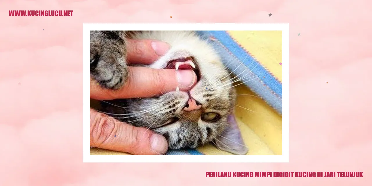 Perilaku Kucing Mimpi Digigit Kucing di Jari Telunjuk