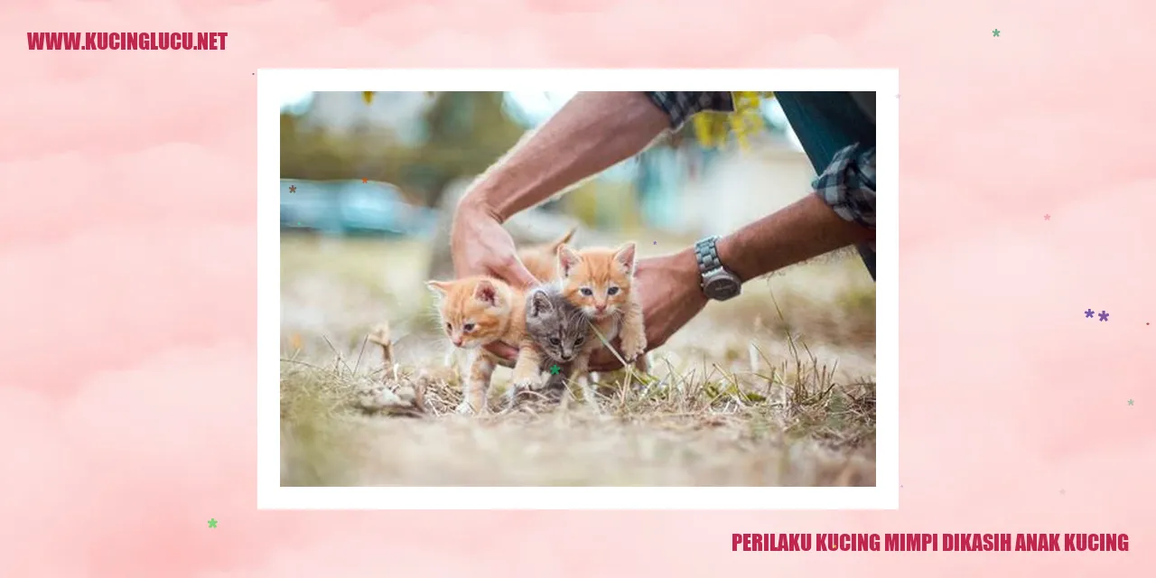gambar kucing dengan anak kucing