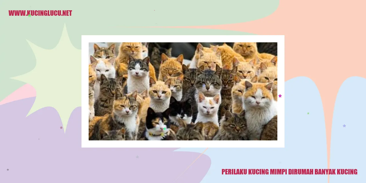 Perilaku Kucing Bermimpi