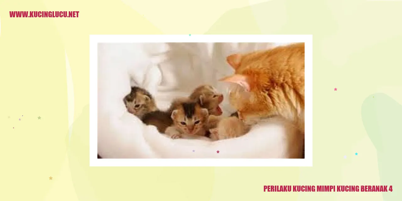 Perilaku Kucing Ketika Bermimpi Melahirkan 4 Anak Kucing