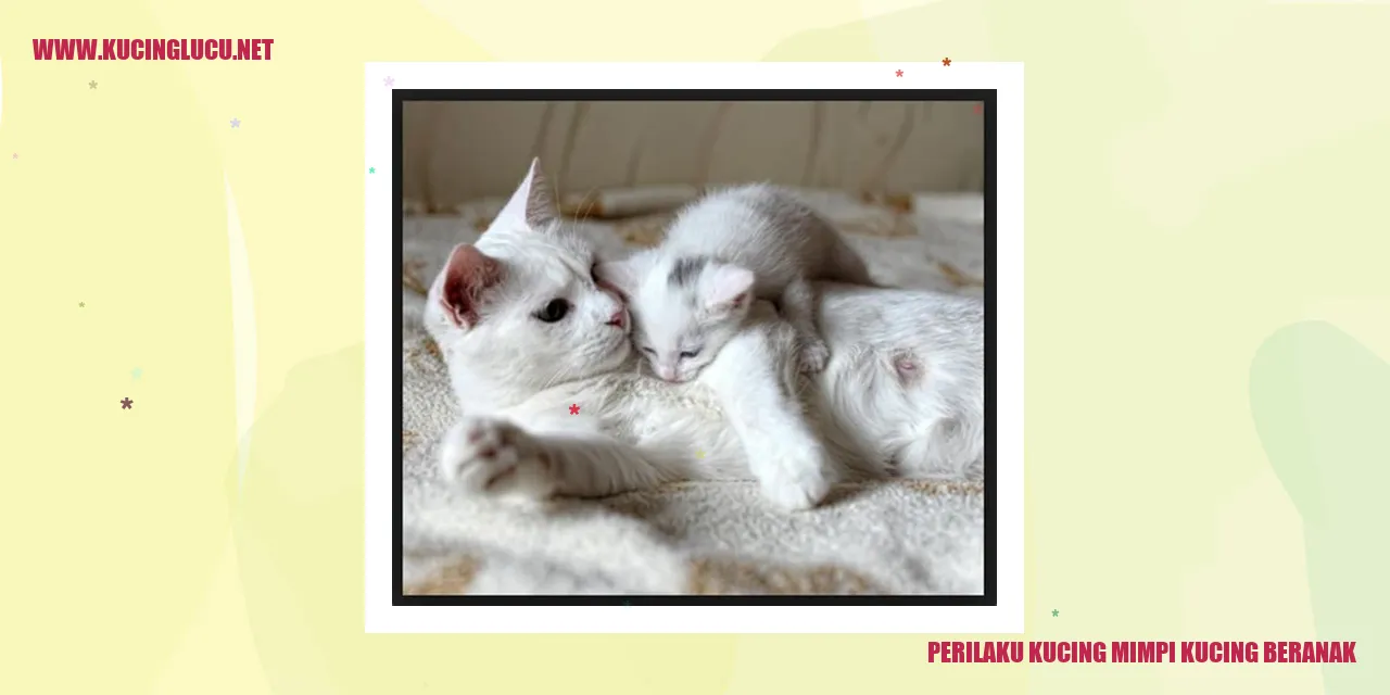 Gambar Kucing Beranak