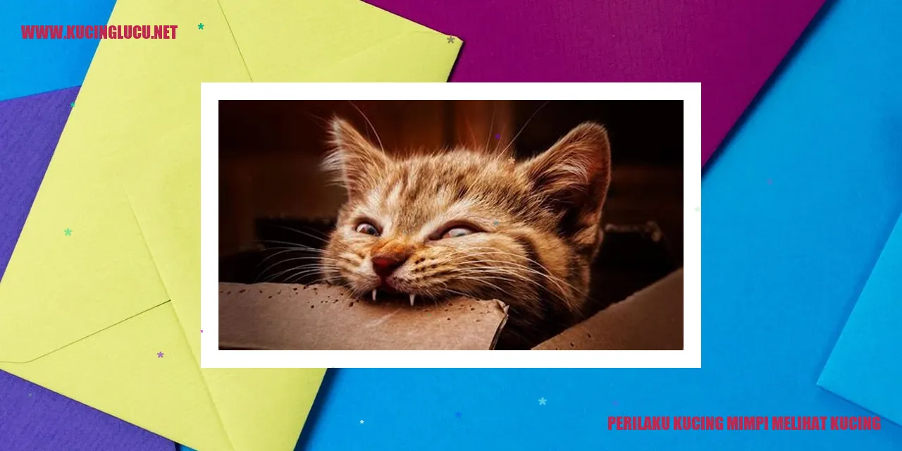 gambar kucing mimpi