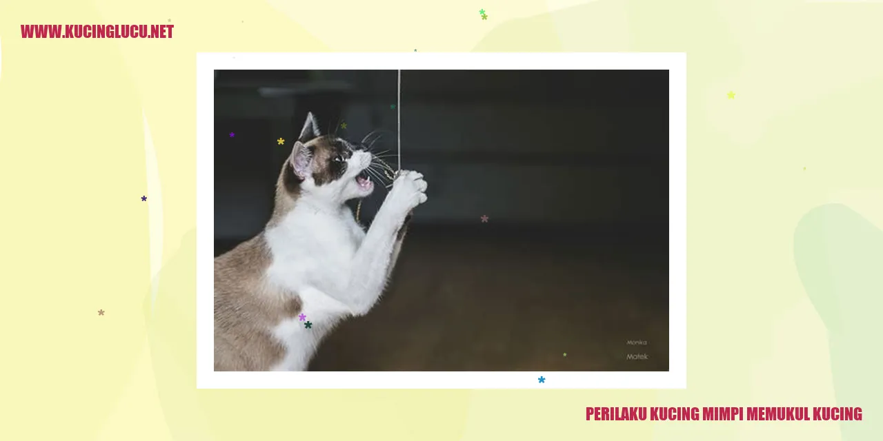 Menggemaskan! Kucing sedang tidur dan memukul