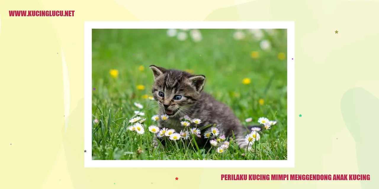 Gambar Kucing Mimpi Membawa Bayi Kucing