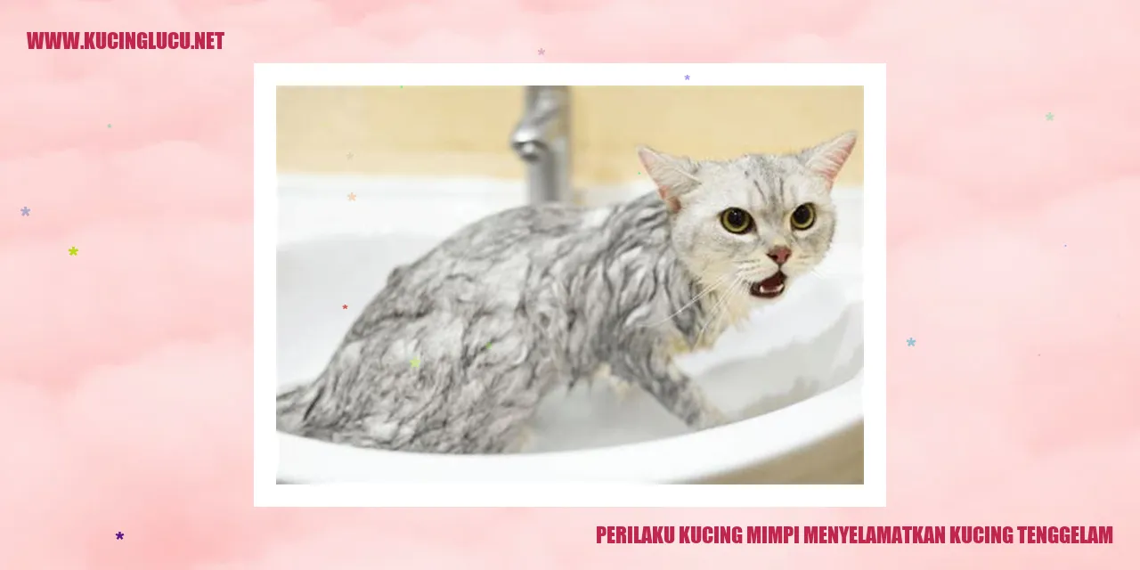 Perilaku Kucing Mimpi Menyelamatkan Kucing Tenggelam