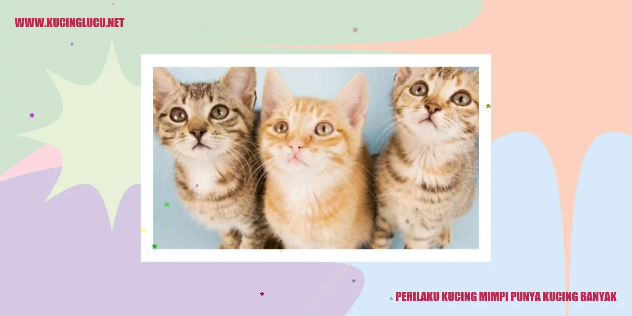 Gambar Kucing yang Menggemaskan