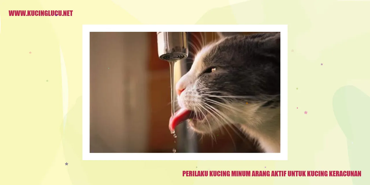 Perilaku Kucing Minum Arang Aktif untuk Kucing Keracunan