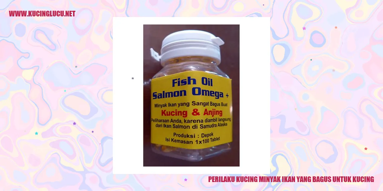 Perilaku Kucing minyak ikan yang bagus untuk kucing