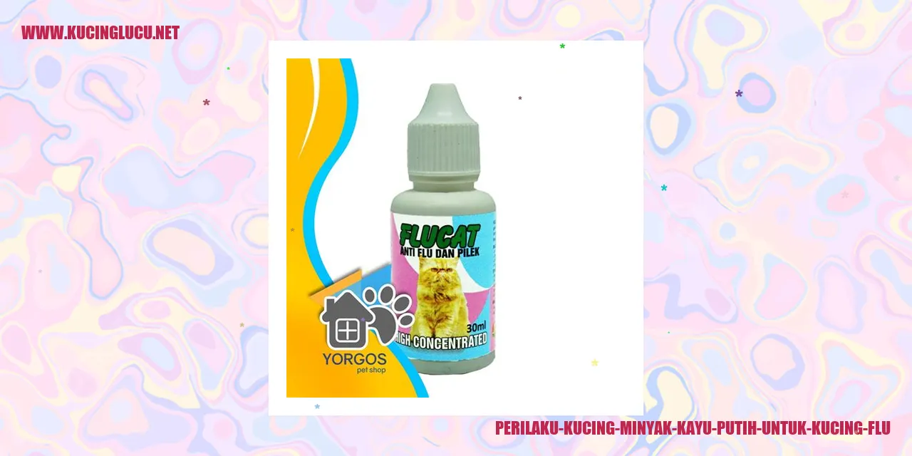 Gambar Kucing