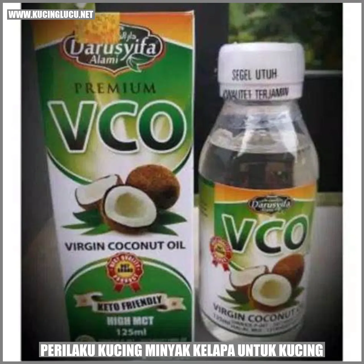 Perilaku Kucing minyak kelapa untuk kucing