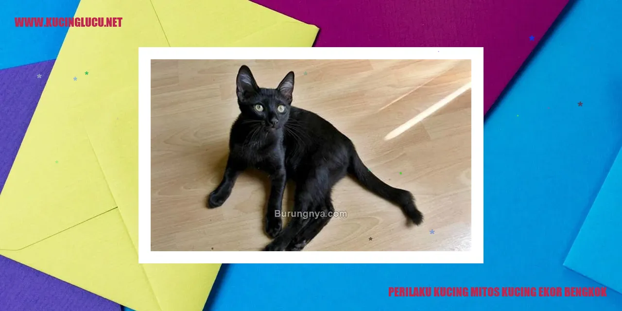 Perilaku Kucing mitos kucing ekor bengkok