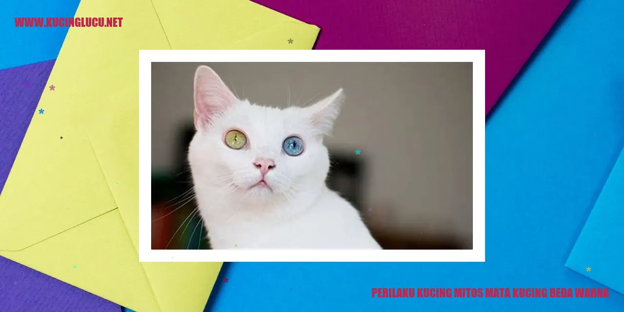 Kucing dengan Mata Berwarna Berbeda