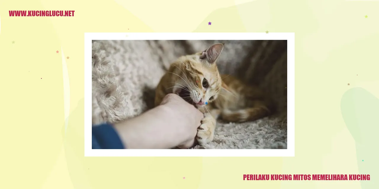 Kucing Mengintip