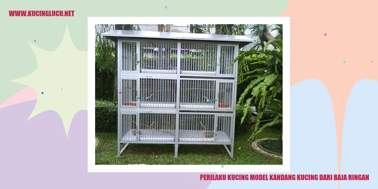 Perilaku Kucing dalam Kandang Kucing dari Baja Ringan