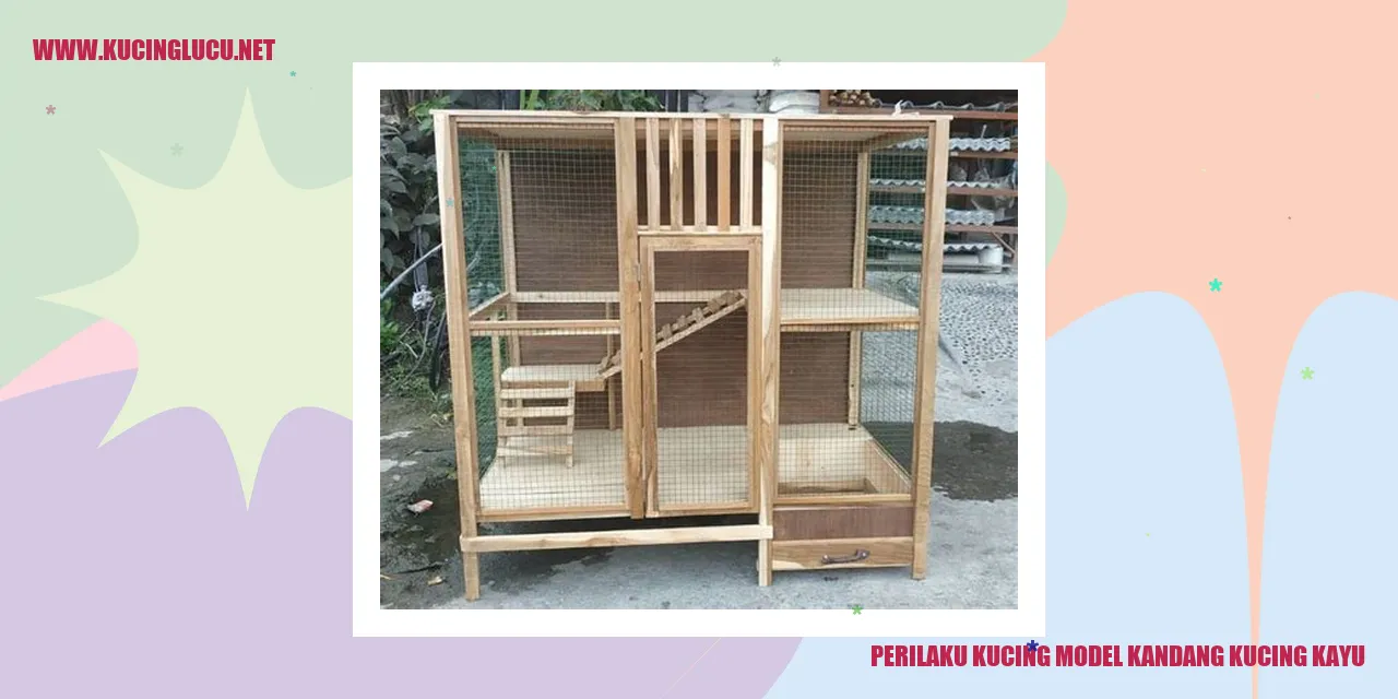 Kucing dalam kandang kayu