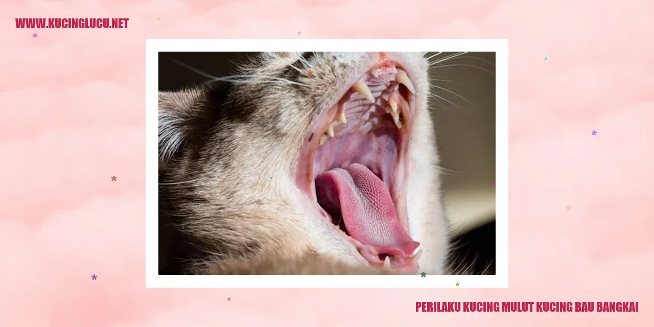 Perilaku Kucing mulut kucing bau bangkai