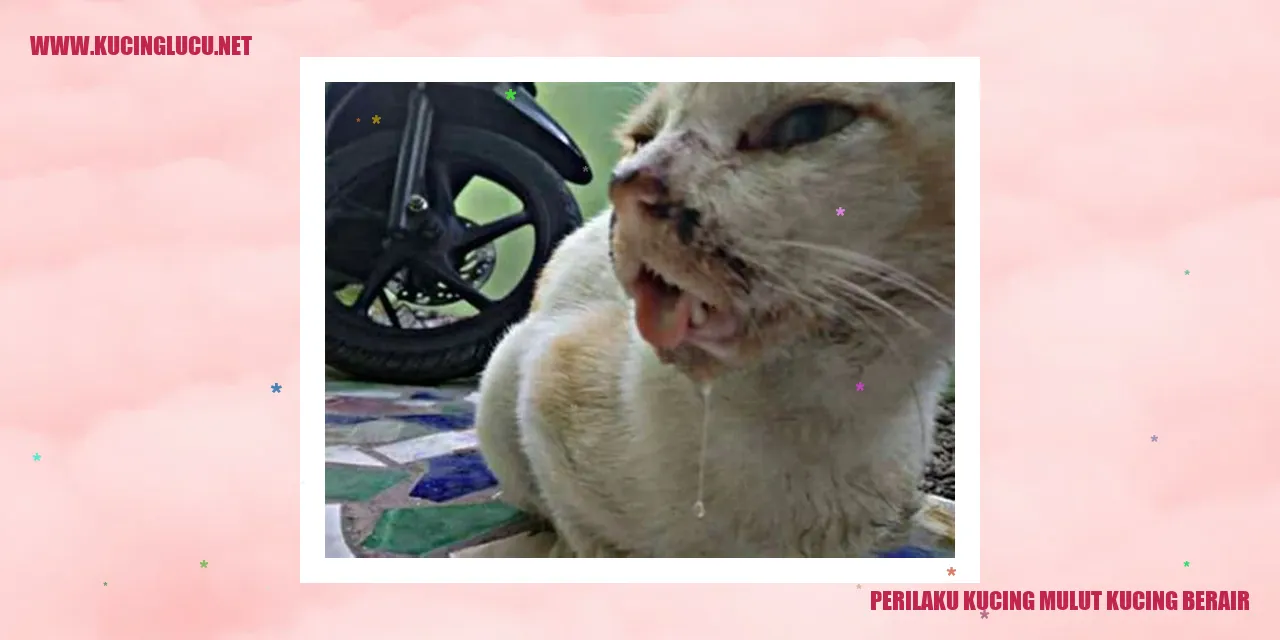 Kucing Mulut Berair