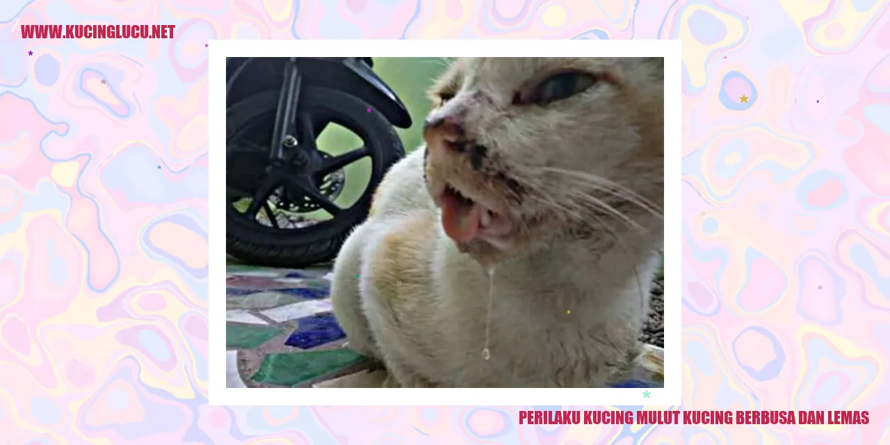 Kucing Mulut Berbusa dan Lemas