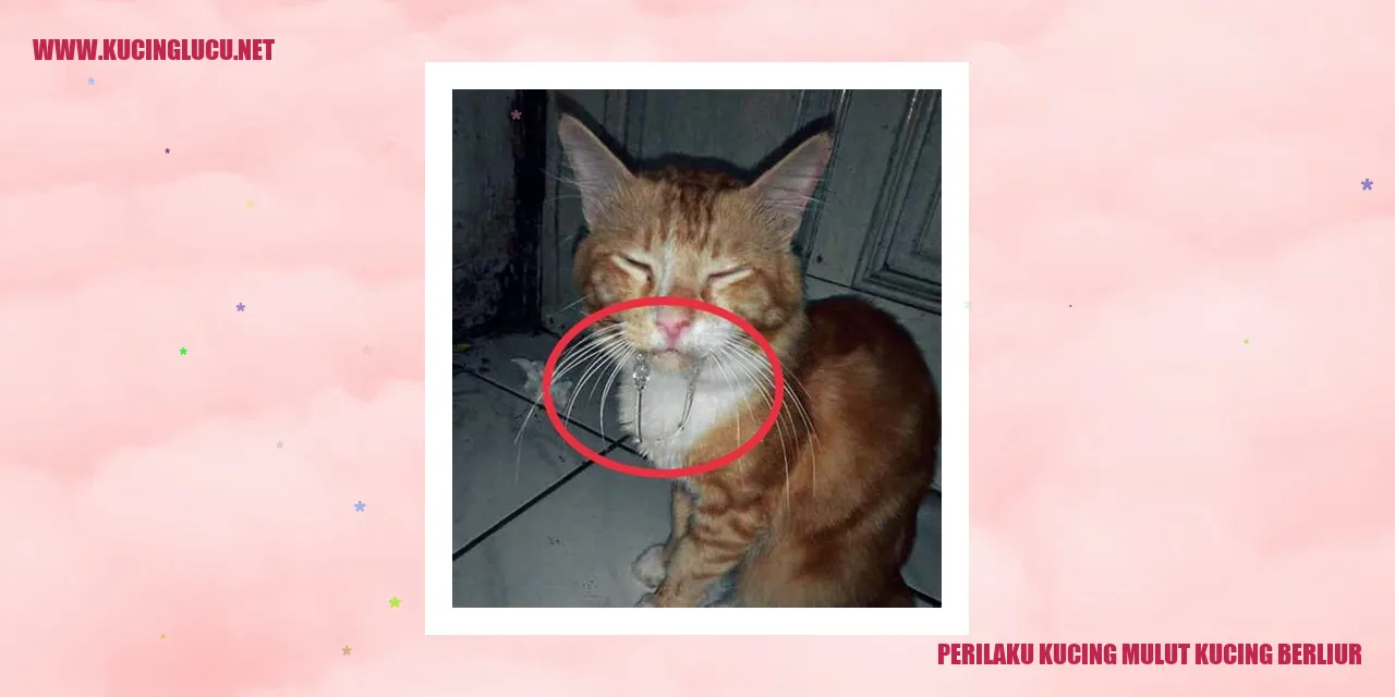 Perilaku Kucing Mulut Kucing Berliur