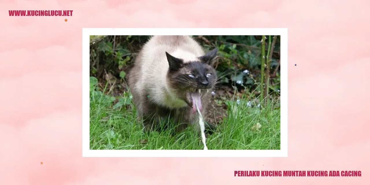 Perilaku Kucing Muntah Ketika Terkena Cacing