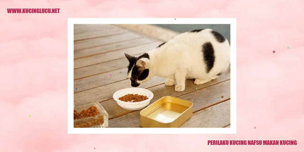 Perilaku Nafsu Makan Kucing