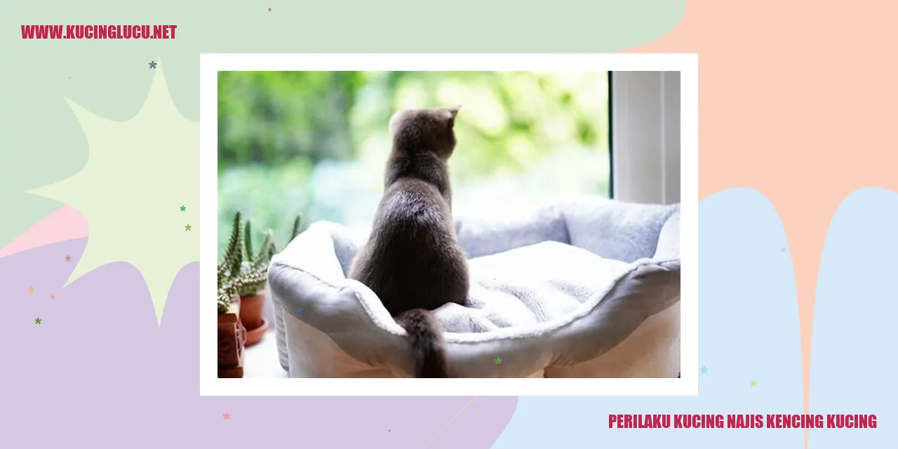 Kucing Kencing