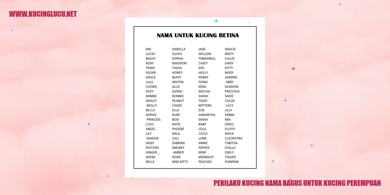 Perilaku Kucing Nama Bagus untuk Kucing Perempuan