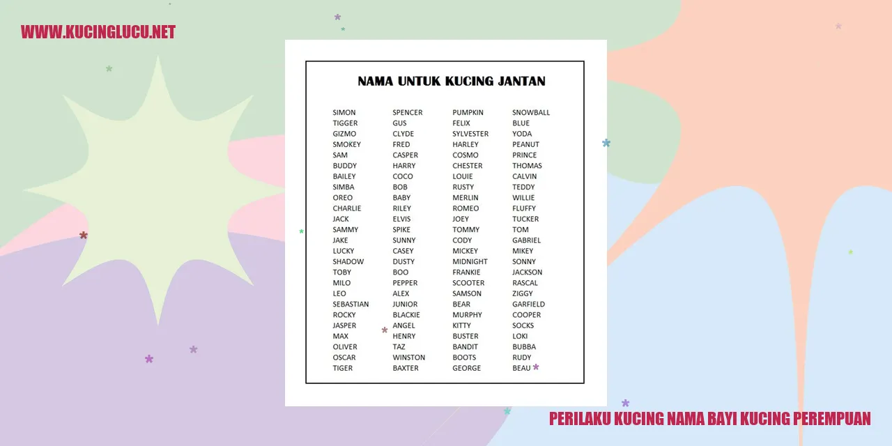 Perilaku Kucing Nama Bayi Kucing Perempuan