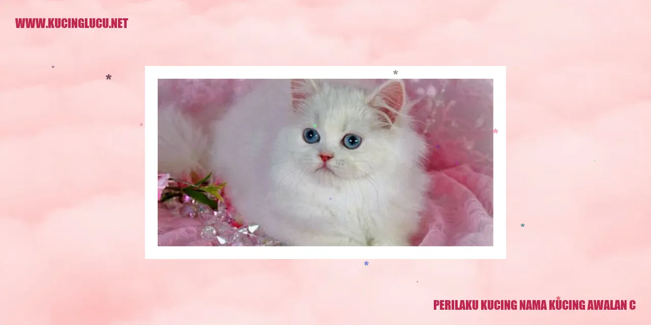 Kucing dengan Nama Awalan C