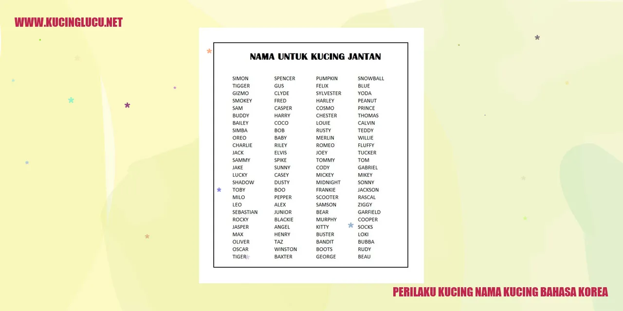 Perilaku Kucing