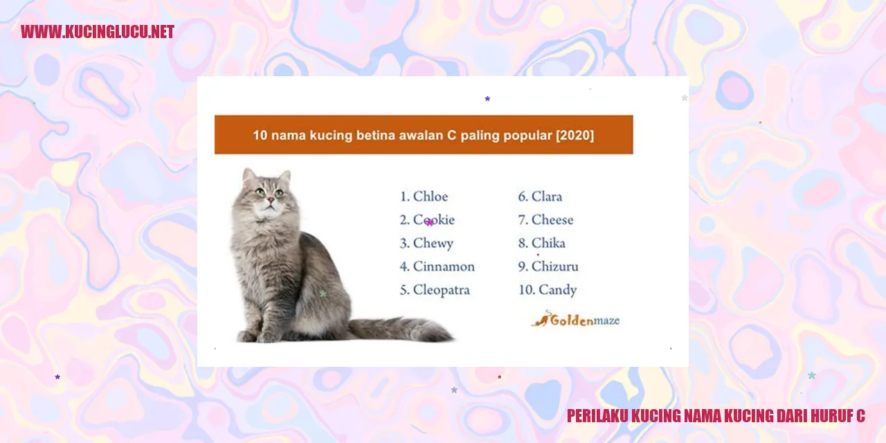 Gambar Kucing