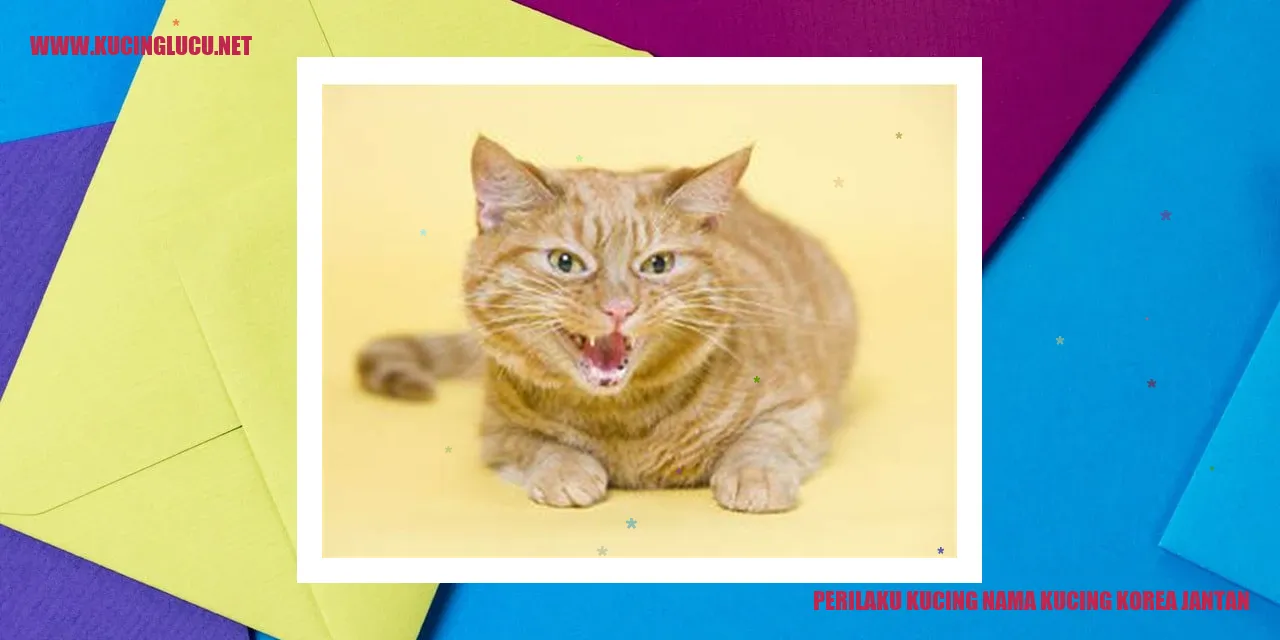 Perilaku Kucing Nama Kucing Korea Jantan