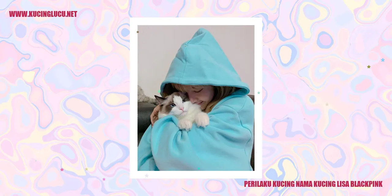 Perilaku Kucing Nama Kucing Lisa Blackpink