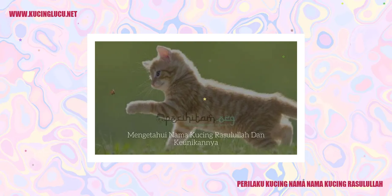 Kucing Rasulullah