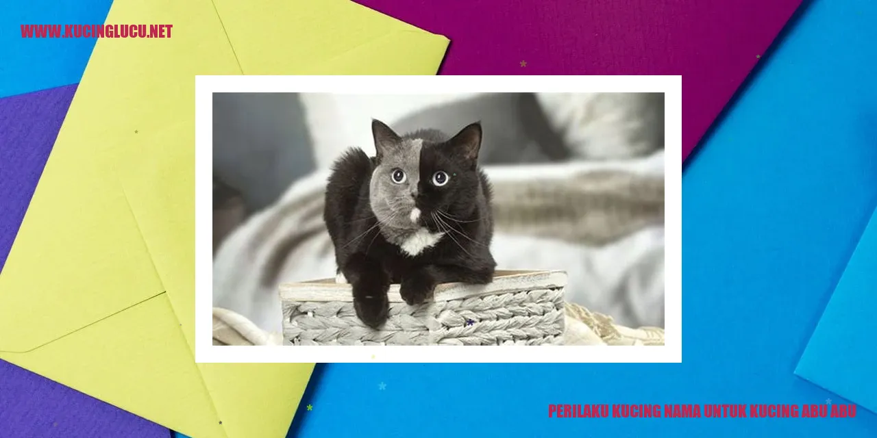 Perilaku Kucing Abu-abu