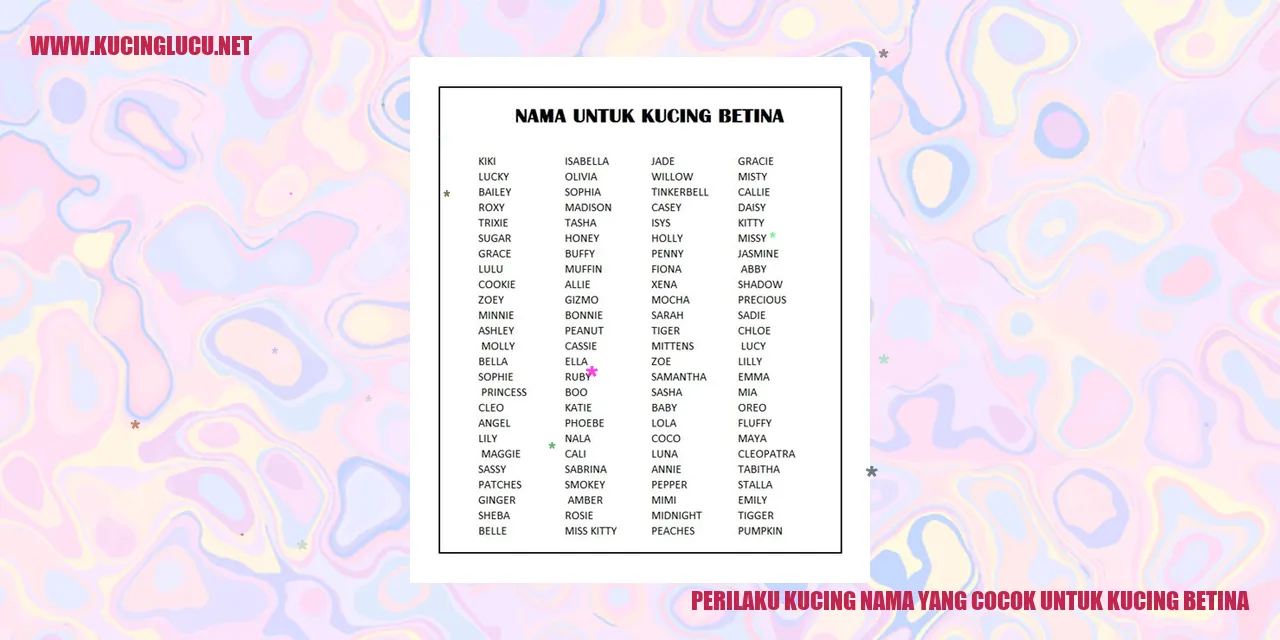 Perilaku Kucing