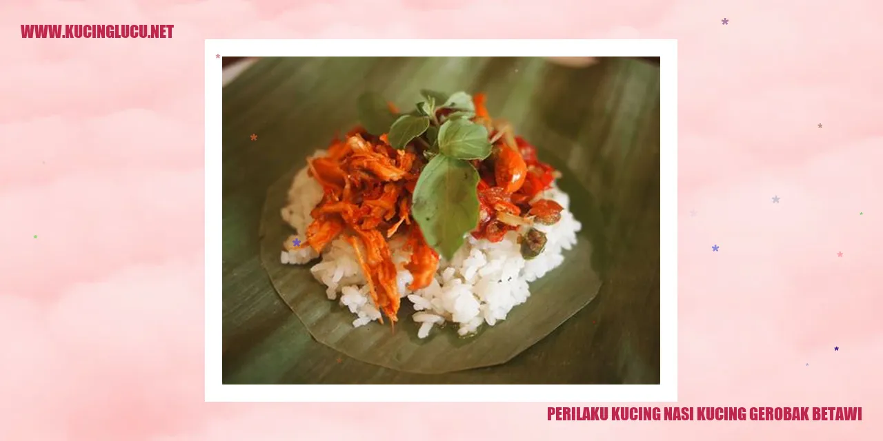 Perilaku Kucing Nasi Kucing Gerobak Betawi