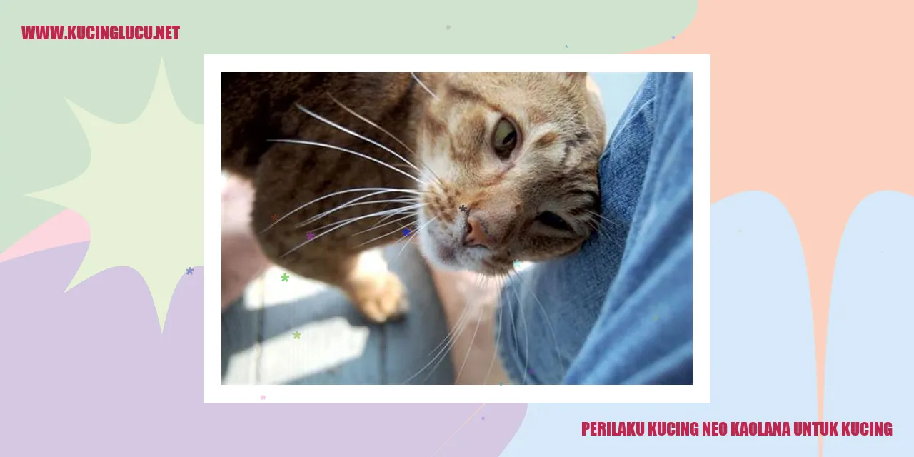 Gambar kucing Neo Kaolana yang Menggemaskan