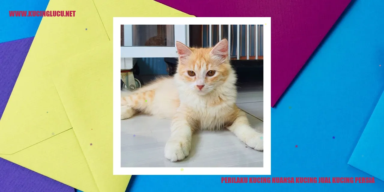 Bentuk Perilaku Kucing Persia
