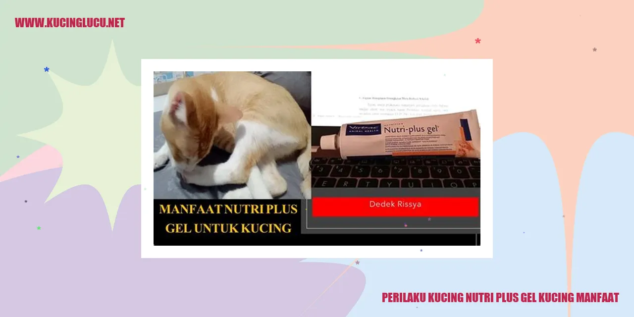 Perilaku Istimewa Kucing dan Manfaat Nutri Plus Gel untuk Kucing