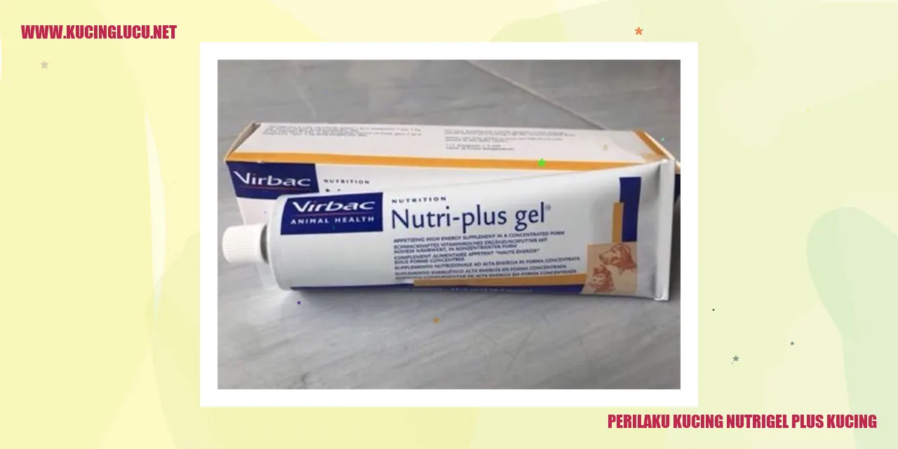 Perilaku Kucing Nutrigel Plus Kucing