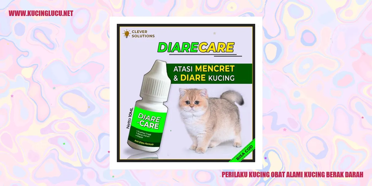 Perilaku Kucing obat alami kucing berak darah