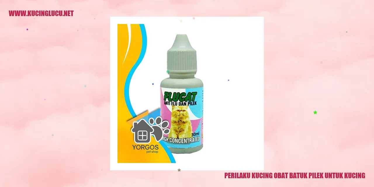 Perilaku Kucing Obat Batuk Pilek